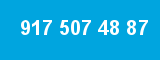 917 507 48 87